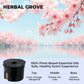 ☁️2025 Cloud Mist Smart Car Diffuser - Auto On/Off with 30-Day USB-C Battery & 1 Refill = 1 Year Freshness
