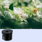 Smart Car Diffuser for Essential Oil Set