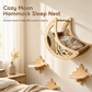 🐱 50% OFF! ✨ Wall-Mounted Wooden Cat Climbing Frame Set – 3 Jumping Steps, Moon Hammock & Sisal Mat, Premium Solid Wood – Space-Saving Vertical Playground for Active Pets 🪵